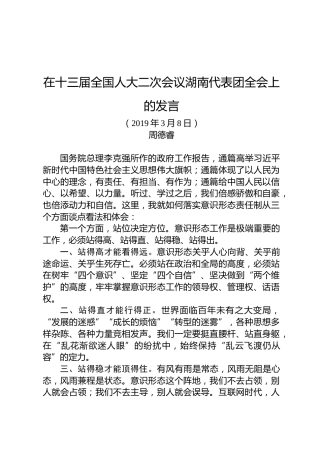 周德睿：在十三届全国人大二次会议湖南代表团全会上的发言