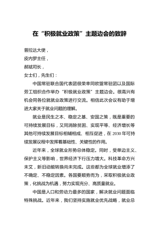 马朝旭：在“积极就业政策”主题边会的致辞
