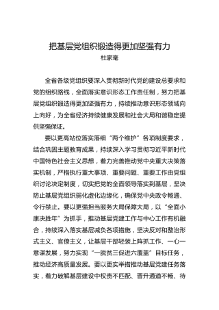 杜家毫：把基层党组织锻造得更加坚强有力