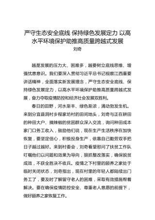 刘奇：严守生态安全底线保持绿色发展定力以高水平环境保护助推高质量跨越式发展
