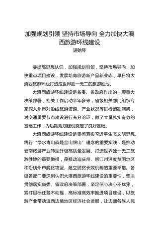 阮成发：加强规划引领坚持市场导向全力加快大滇西旅游环线建设