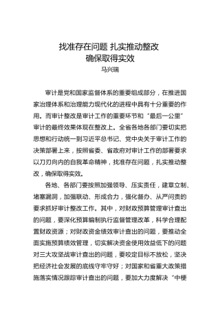 马兴瑞：找准存在问题扎实推动整改确保取得实效