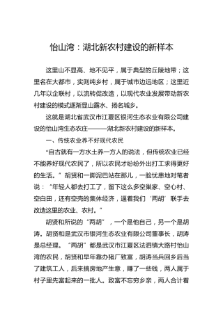 余爱民：怡山湾：湖北新农村建设的新样本