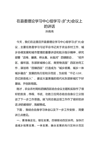 孙良鸿：在县委理论学习中心组学习(扩大)会议上的讲话