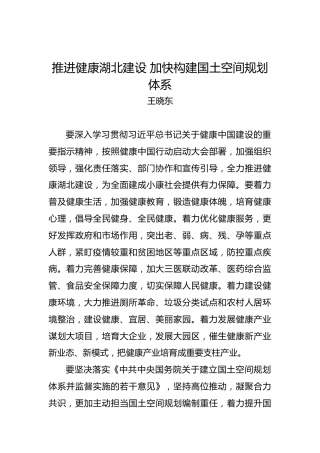 王晓东：推进健康湖北建设加快构建国土空间规划体系