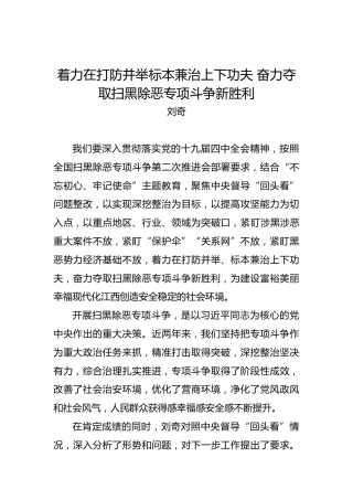刘奇：着力在打防并举标本兼治上下功夫奋力夺取扫黑除恶专项斗争新胜利