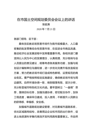 张延清：在市国土空间规划委员会会议上的讲话