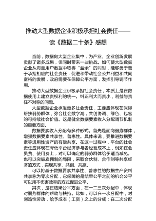 推动大型数据企业积极承担社会责任——读《数据二十条》感想