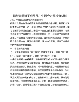 镇街党委班子成员民主生活会对照检查材料