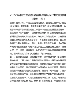 2022年民主生活会会前集中学习研讨发言提纲_2