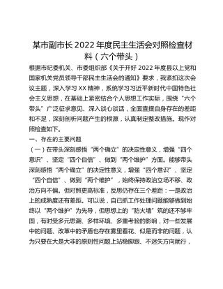 某市副市长2022年度民主生活会对照检查材料（六个带头）
