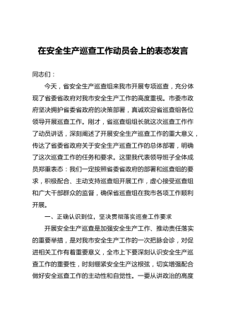 在安全生产巡查工作动员会上的表态发言