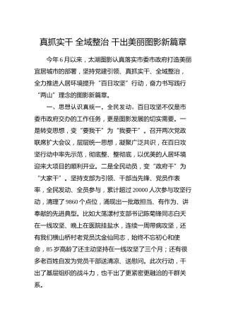 乡镇街道党委书记工作交流会发言材料（四）