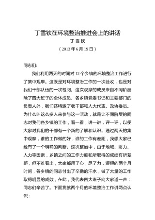 丁雪钦：在环境整治推进会上的讲话