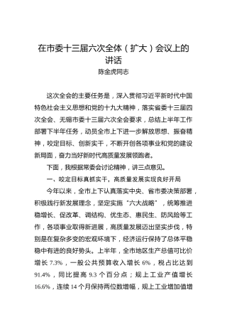 陈金虎：在市委十三届六次全体（扩大）会议上的讲话