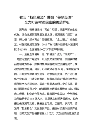 乡镇街道党委书记工作交流会发言材料（二）