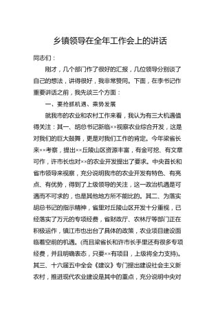 乡镇领导在全年工作会上的讲话（五）
