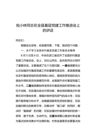宛小林：在全县基层党建工作推进会上的讲话