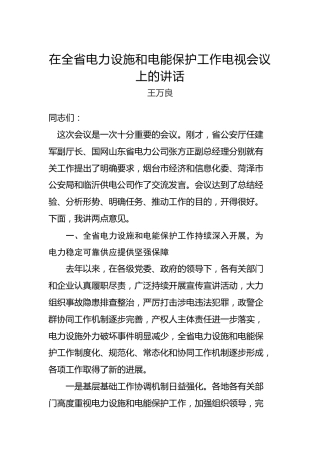 王万良：在全省电力设施和电能保护工作电视会议上的讲话