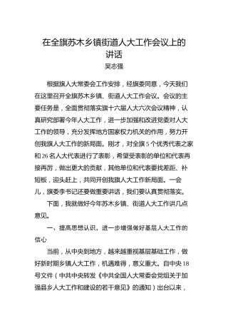 吴志强：在全旗苏木乡镇街道人大工作会议上的讲话