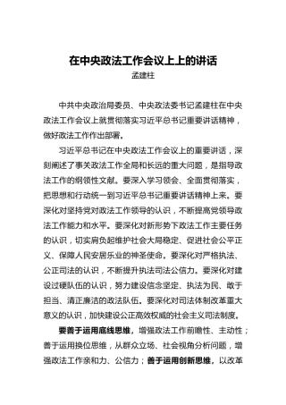 孟建柱：在中央政法工作会议上上的讲话
