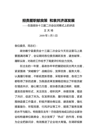 王天琦：担责履职献良策和衷共济谋发展