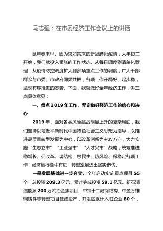 马志强：在市委经济工作会议上的讲话