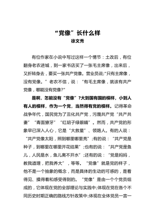 徐文秀：“党像”长什么样