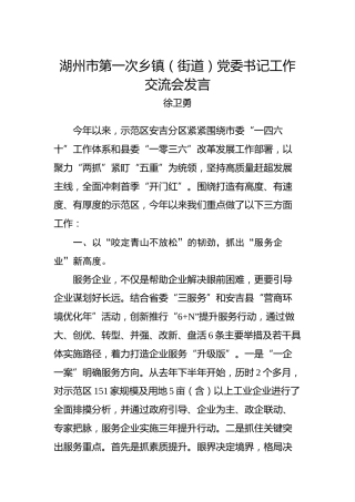 徐卫勇：湖州市第一次乡镇（街道）党委书记工作交流会发言