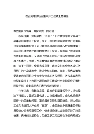 在张秀屯镇项目集中开工仪式上的讲话