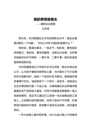 王天琦：我的事情谁做主2017