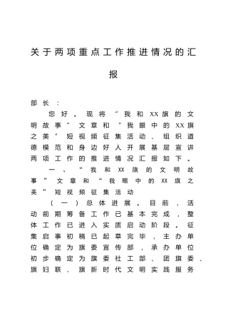 关于两项重点工作推进情况的汇报