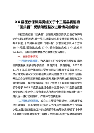 XX县医疗保障局党组关于十三届县委巡察“回头看”反馈问题整改进展情况的报告