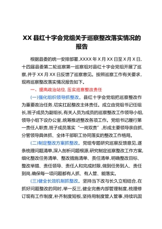 XX县红十字会党组关于巡察整改落实情况的报告