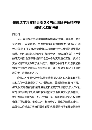 在传达学习贯彻县委XX书记调研讲话精神专题会议上的讲话