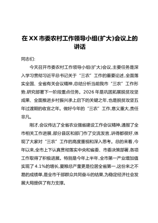 在XX市委农村工作领导小组(扩大)会议上的讲话