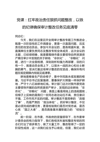党课：扛牢政治责任狠抓问题整改，以铁的纪律确保审计整改任务见底清零