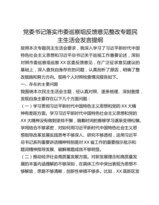 党委书记落实市委巡察组反馈意见整改专题民主生活会发言提纲