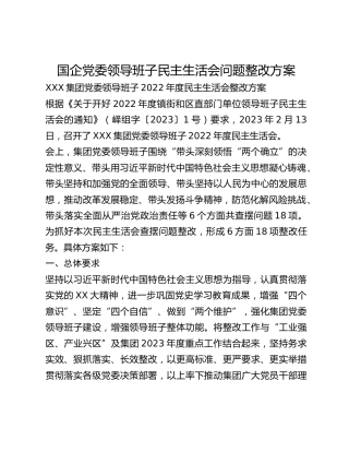 国企党委领导班子民主生活会问题整改方案