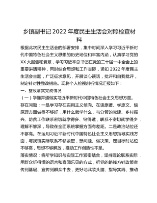乡镇副书记2022年度民主生活会对照检查材料