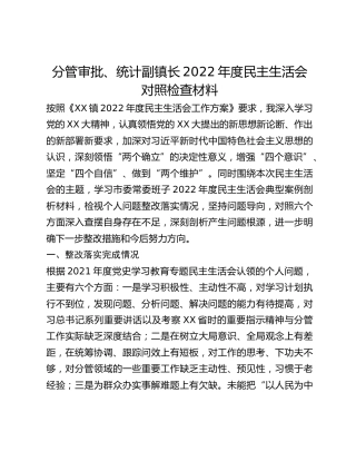 分管审批、统计副镇长2022年度民主生活会对照检查材料