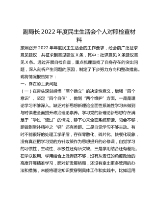 副局长2022年度民主生活会个人对照检查材料