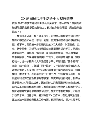 XX副局长民主生活会个人整改措施