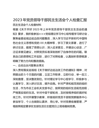 2023年党员领导干部民主生活会个人检查汇报