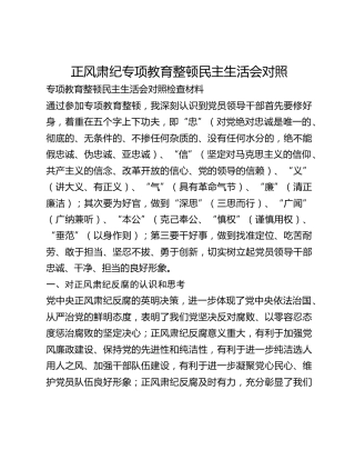 正风肃纪专项教育整顿民主生活会对照