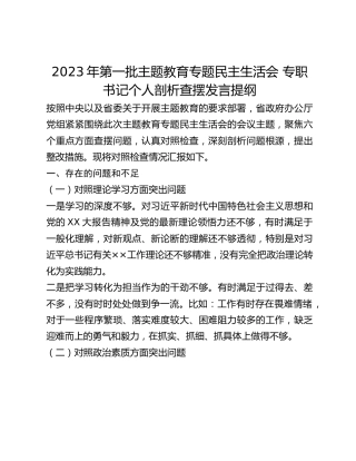 2023年第一批主题教育专题民主生活会 专职书记个人剖析查摆发言提纲