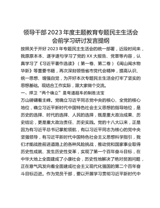 领导干部2023年度主题教育专题民主生活会会前学习研讨发言提纲