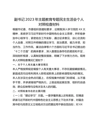 副书记2023年主题教育专题民主生活会个人对照检查材料