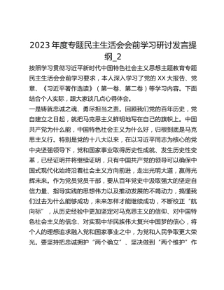 2023年度专题民主生活会会前学习研讨发言提纲_2