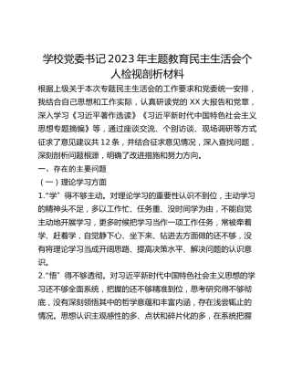学校党委书记2023年主题教育民主生活会个人检视剖析材料